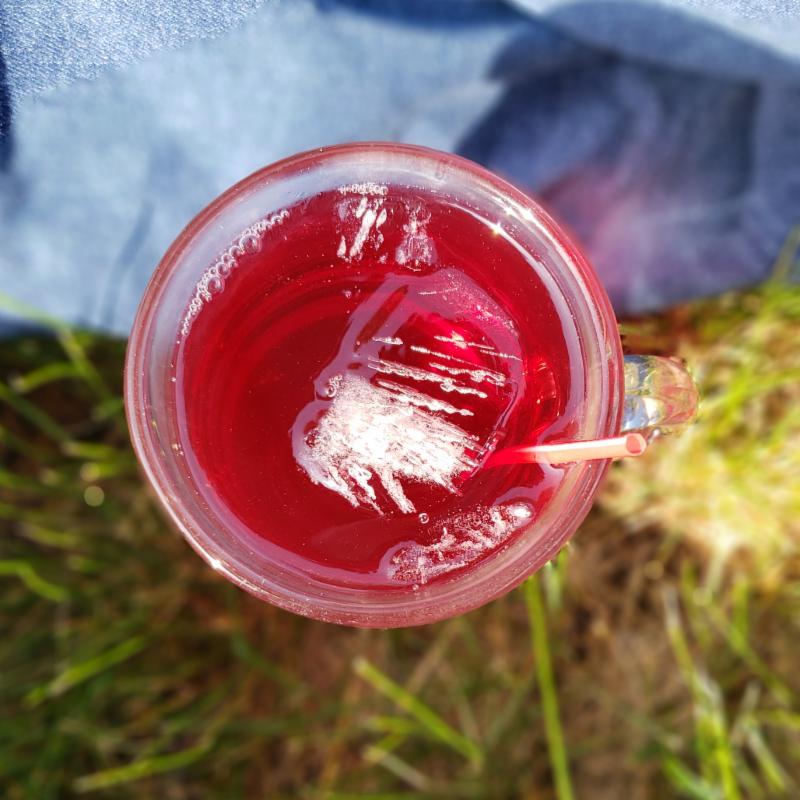 Caribbean Cooler Iced Tea (Herbal)