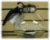 Whistling Tea Kettle