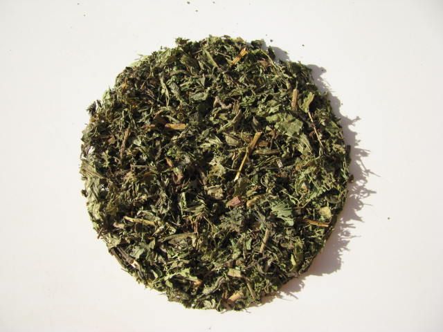 Stevia (Stevia Rebaudiana)