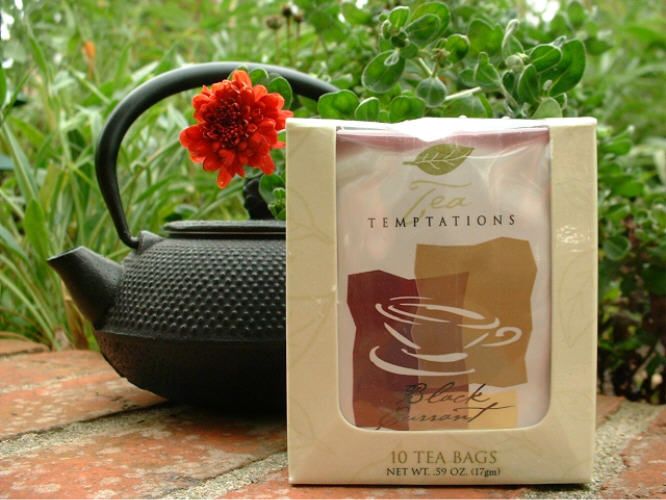 Tea Temptations - Blackcurrant
